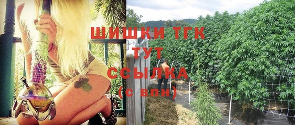 сатива Алексин