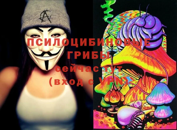 крисы Алзамай