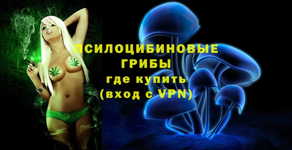 крисы Алзамай