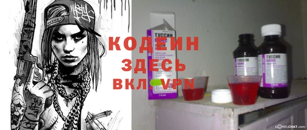 PSILOCYBIN Покачи