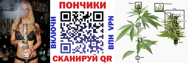 Шишки марихуана SATIVA & INDICA  Ужур 